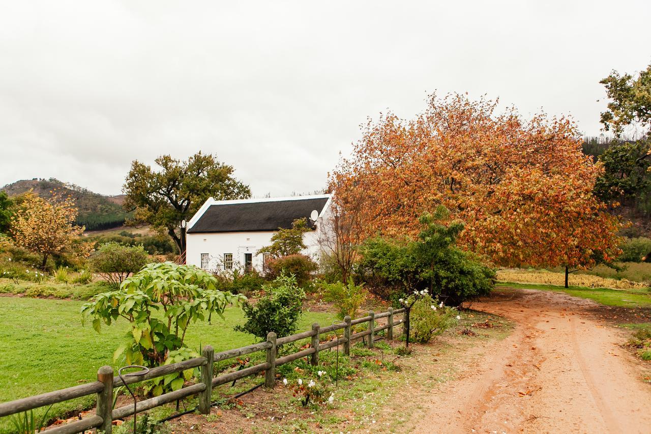 Basse Provence Country House Bed and Breakfast Franschhoek Buitenkant foto