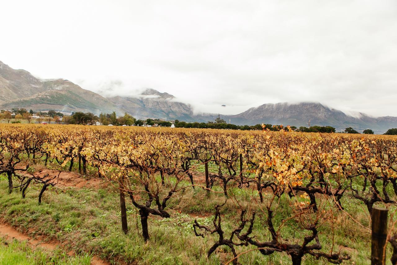 Basse Provence Country House Bed and Breakfast Franschhoek Buitenkant foto