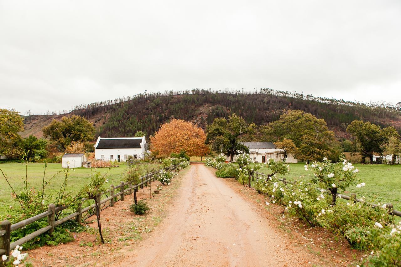 Basse Provence Country House Bed and Breakfast Franschhoek Buitenkant foto